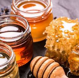 Furkan Nesli Dergisi Bölümler